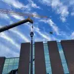 crane
