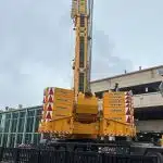 crane