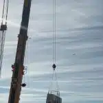 crane