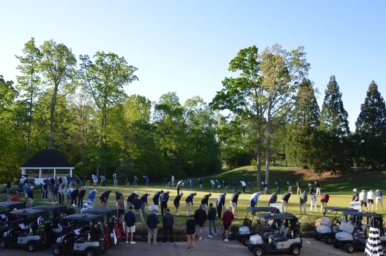 Golfers putting on green